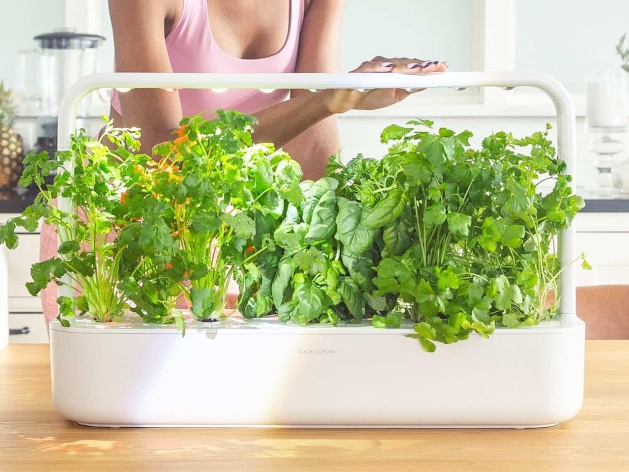 Click and Grow 9 Pro Indoor Herb Garden Kit with Grow Light