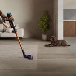 Dyson V16 Piston Animal