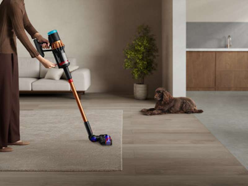 Dyson V16 Piston Animal