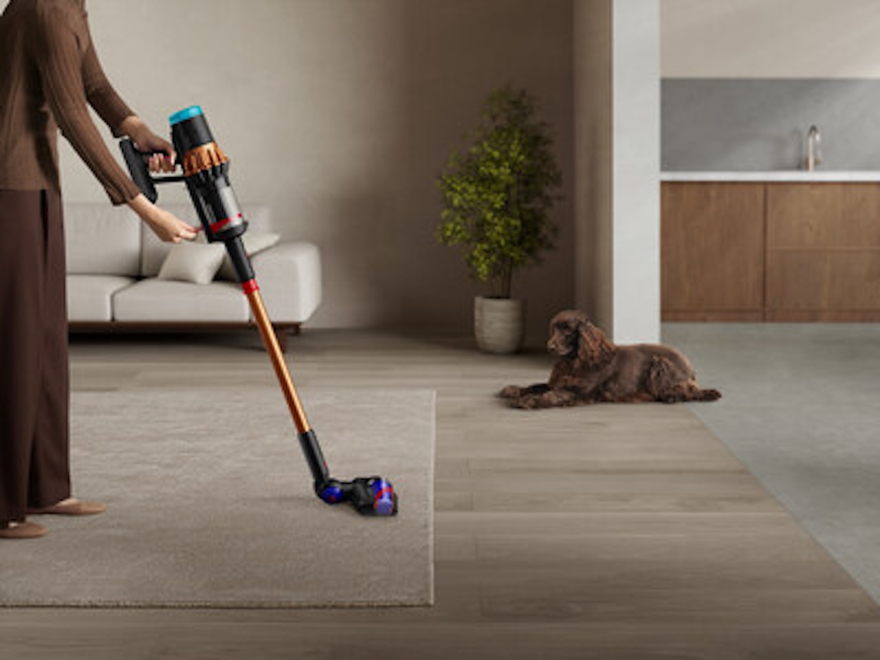 Dyson V16 Piston Animal