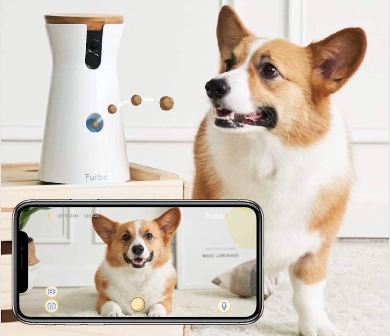 Furbo Dog Camera