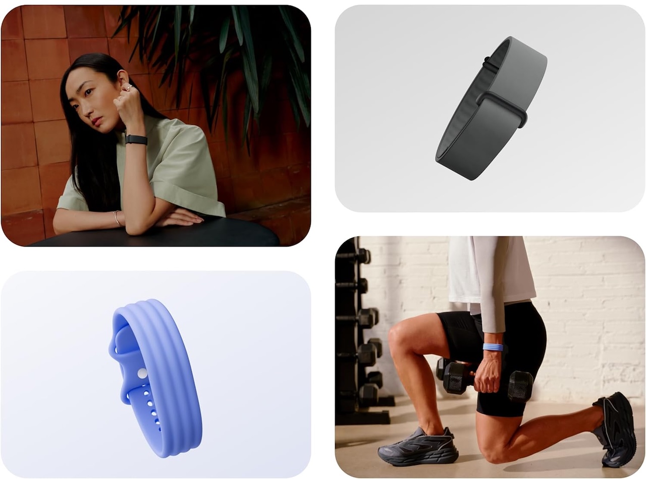 Google Fitbit Air