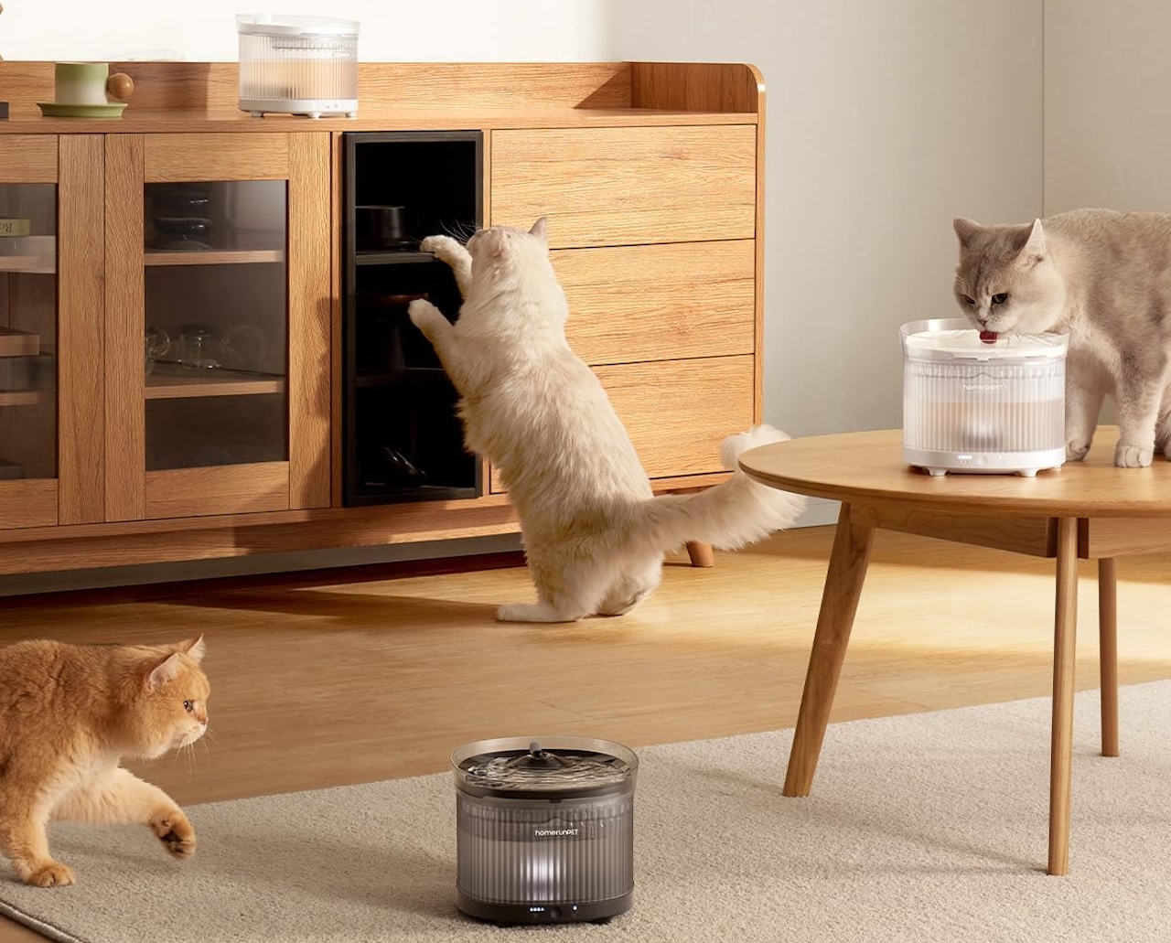 Homerunpet Cordless Cat Water Fountain