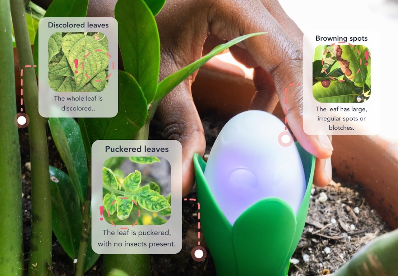 Smart Garden Tech