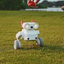 Beni All-Terrain Camera Robot