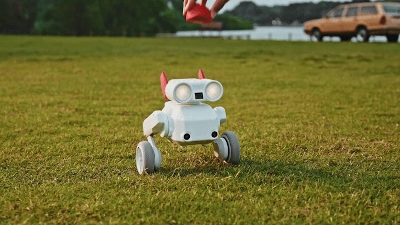 Beni All-Terrain Camera Robot