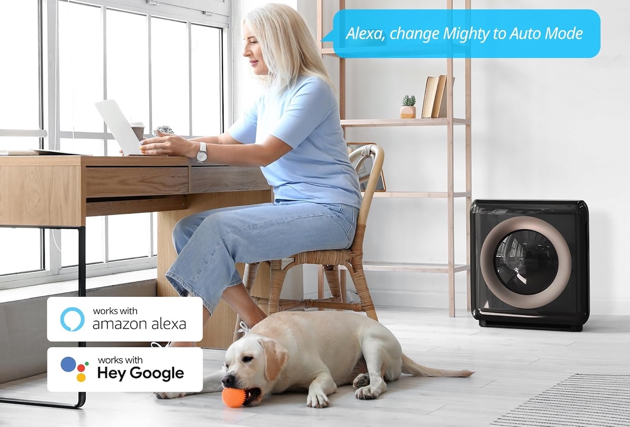 COWAY Air Purifier