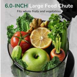 Canoly C16 Cold Press Juicer, 6 Extra Wide Feed Chute 2