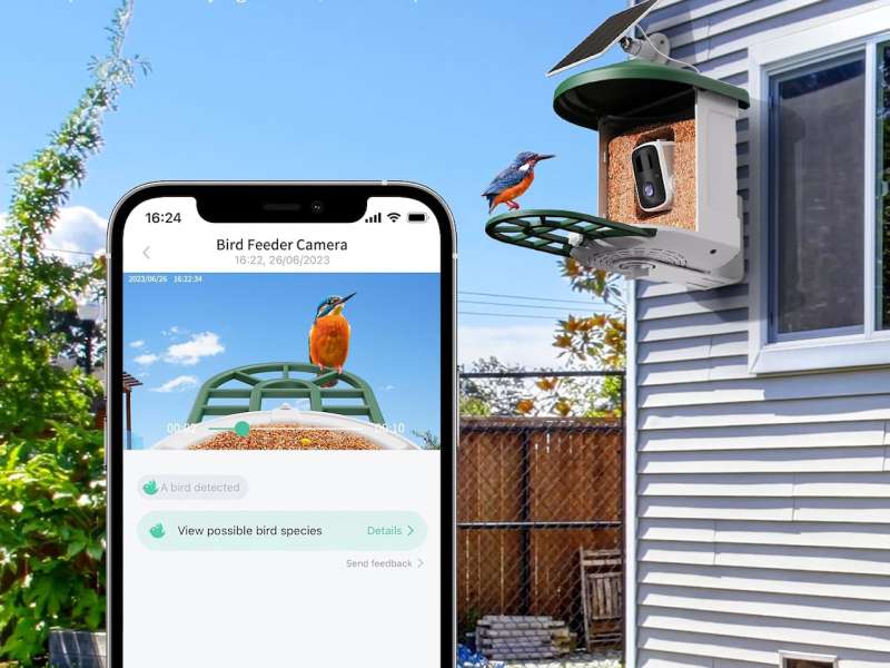 HARYMOR Bird Feeder with Camera with AI Identify Birds Species A
