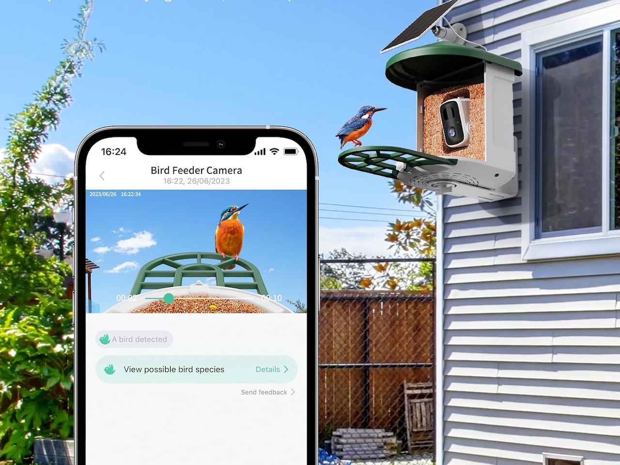 HARYMOR Bird Feeder with Camera with AI Identify Birds Species A