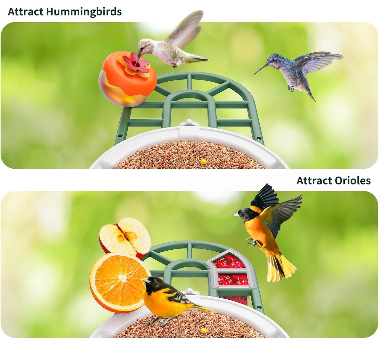 HARYMOR Bird Feeder with Camera with AI Identify Birds Species C