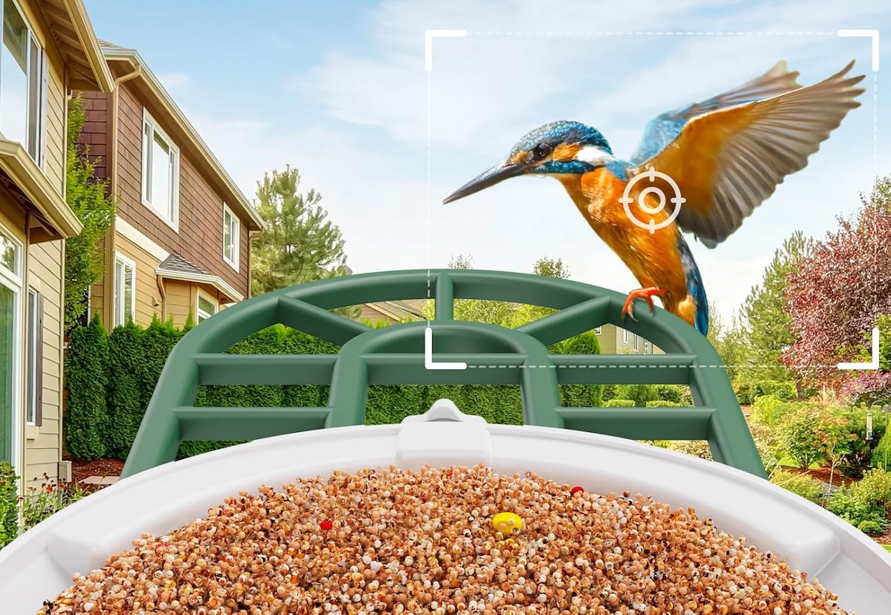 HARYMOR Bird Feeder with Camera with AI Identify Birds Species F