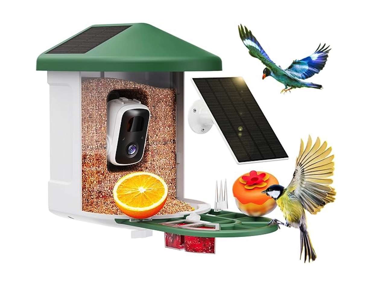 HARYMOR Bird Feeder with Camera with AI Identify Birds Species