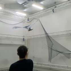 Puffin-Inspired Robot Flies Swims Robotics