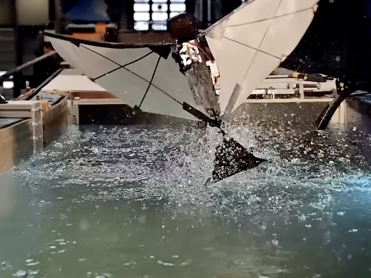 Puffin-Inspired Robot Flies Swims Robotics