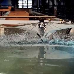 Puffin-Inspired Robot Flies Swims Robotics