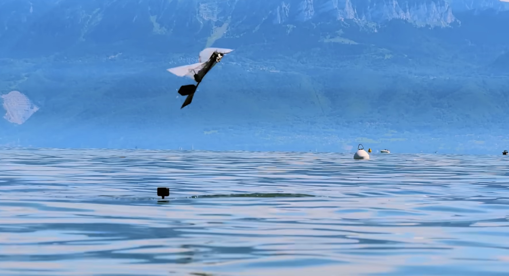 Puffin-Inspired Robot Flies Swims Robotics
