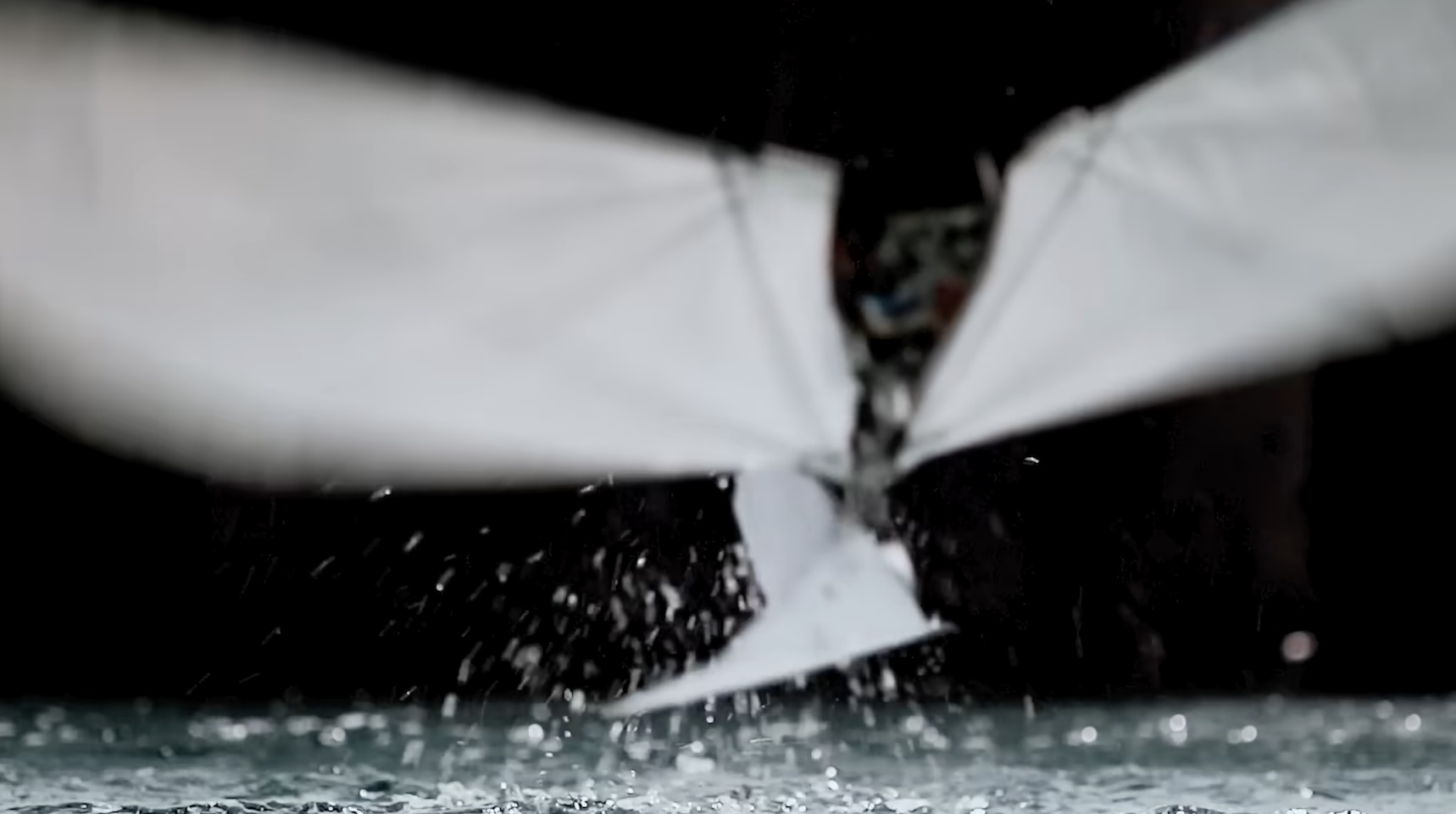 Puffin-Inspired Robot Flies Swims Robotics