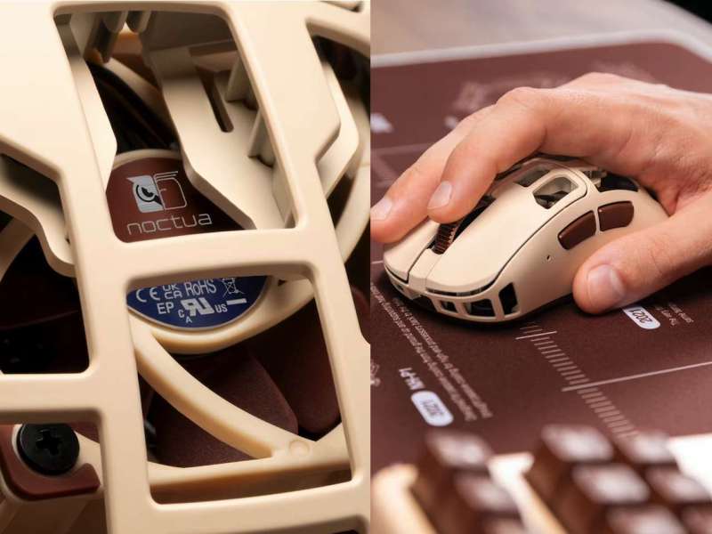Pulsar Feinmann F01 Noctua Edition Review