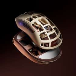 Pulsar Feinmann F01 Noctua Edition Where to Buy