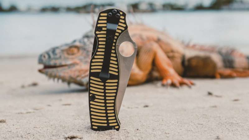 Spyderco Sage 5 Salt CPM MagnaCut