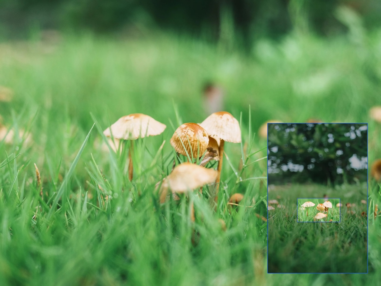 Viltrox AF 26mm F2.8 EVO Full-Frame Lens Sample Photo