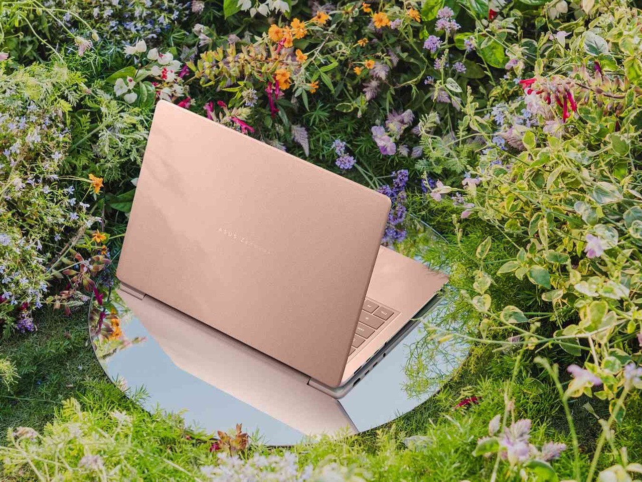 ASUS Zenbook 14 product view, official ASUS image
