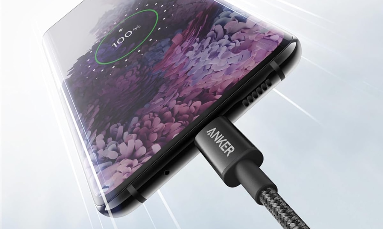Anker USB C to USB C Cable