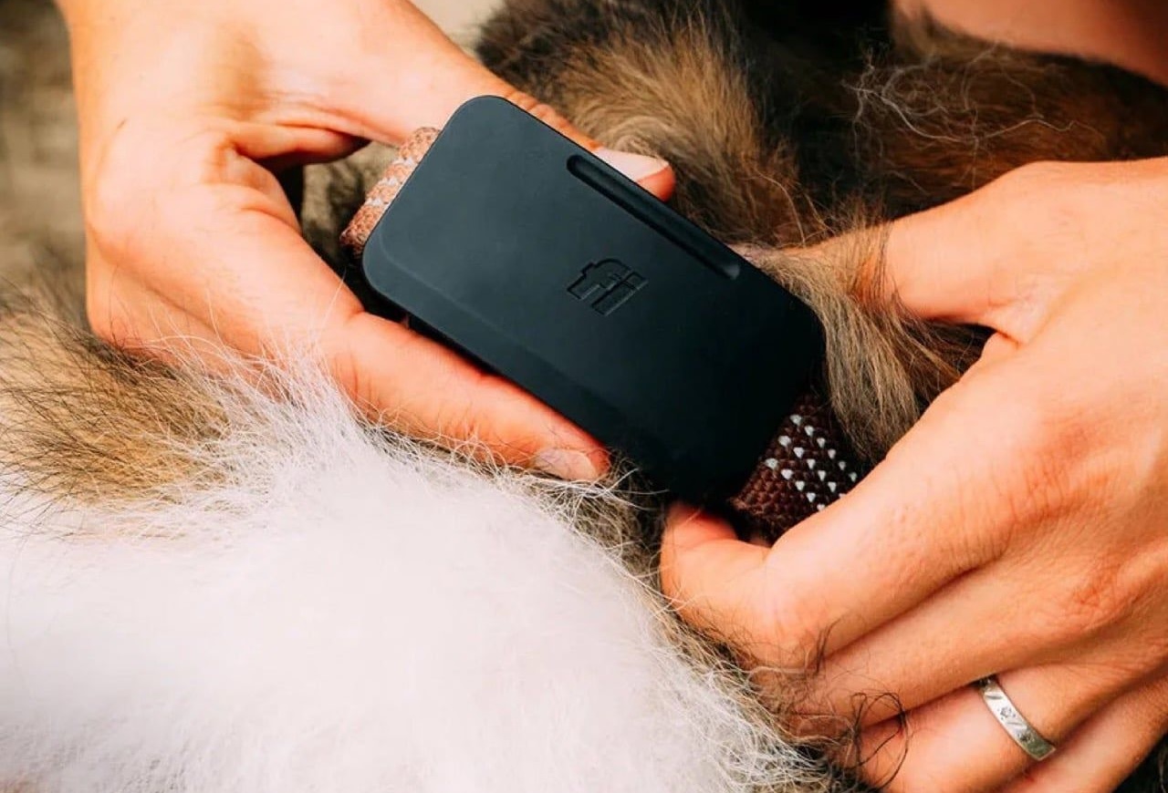 Fi Ultra Dog Tracker Price