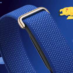 Google Fitbit Air Pokemon Sleep