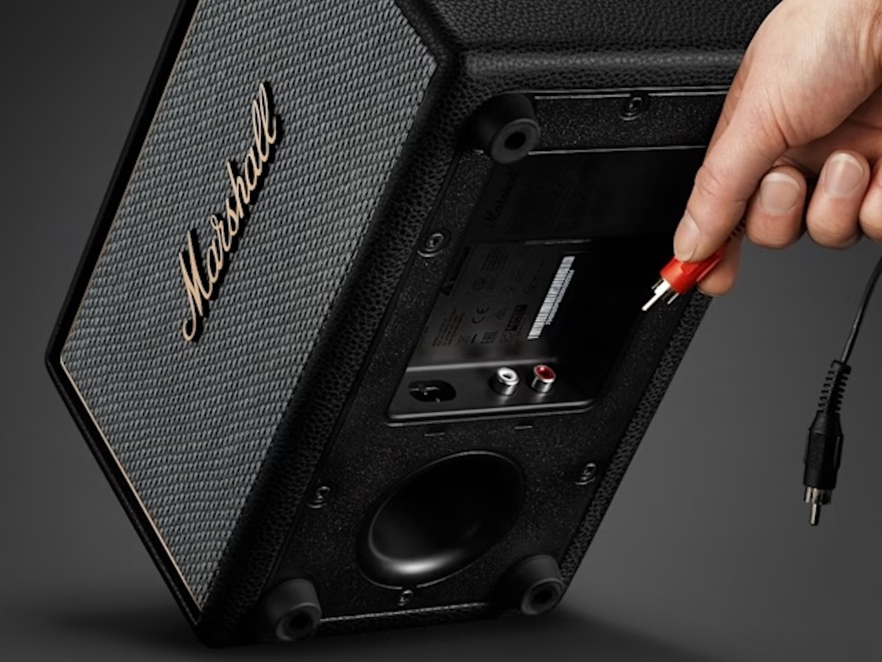 Marshall Acton IV RCA Input