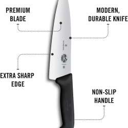 Victorinox Fibrox Pro