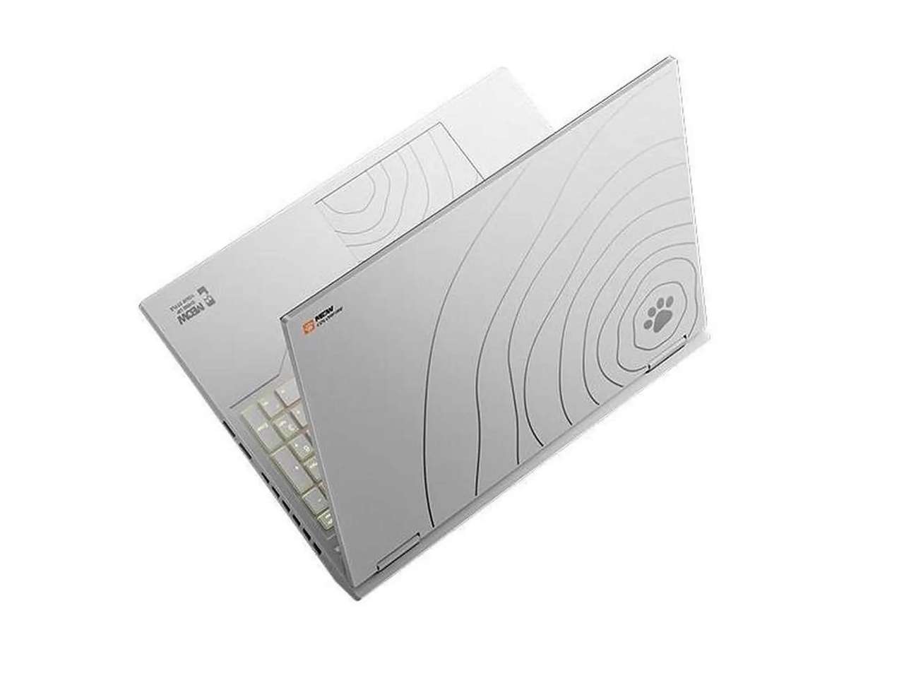 Colorfire MEOW R16 Pro Gaming Laptop