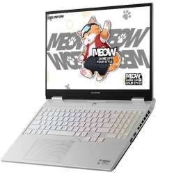 Colorfire MEOW R16 Pro Gaming Laptop