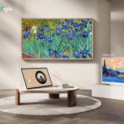 Hisense RoamView Review
