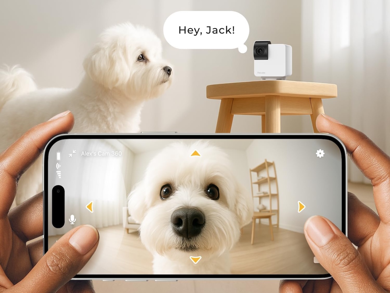 Petcube Cam 360