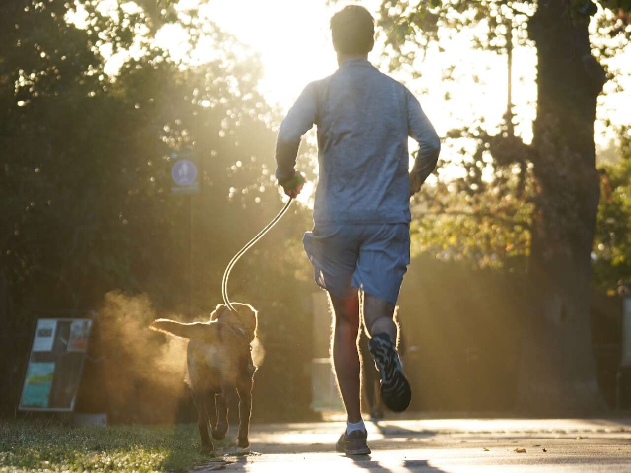 5 Minimalist Running Shoes for 5 Very Different Runner Needs