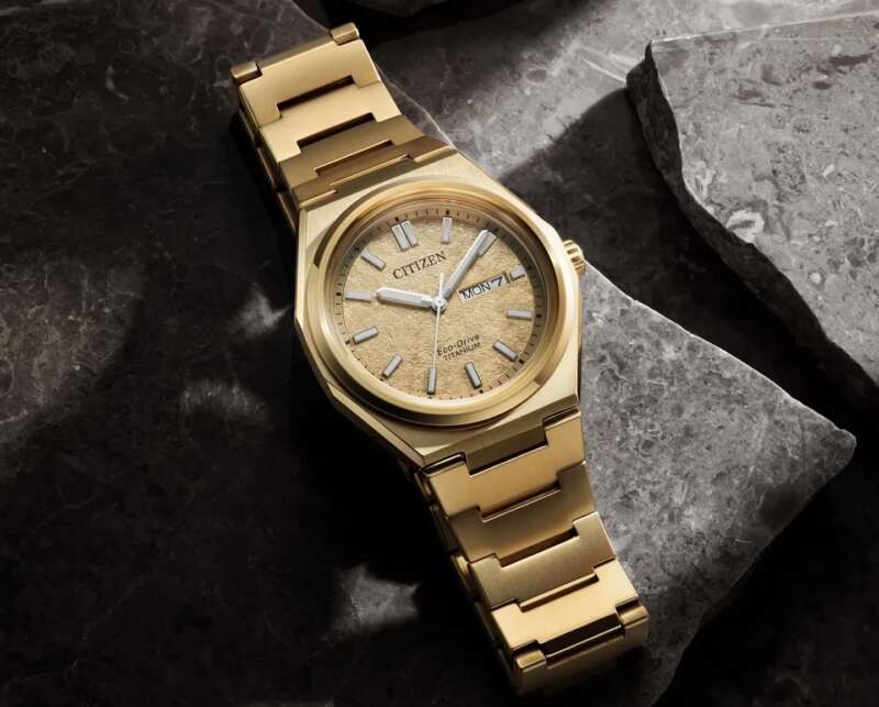 Citizen Zenshin AW0132-55P 5