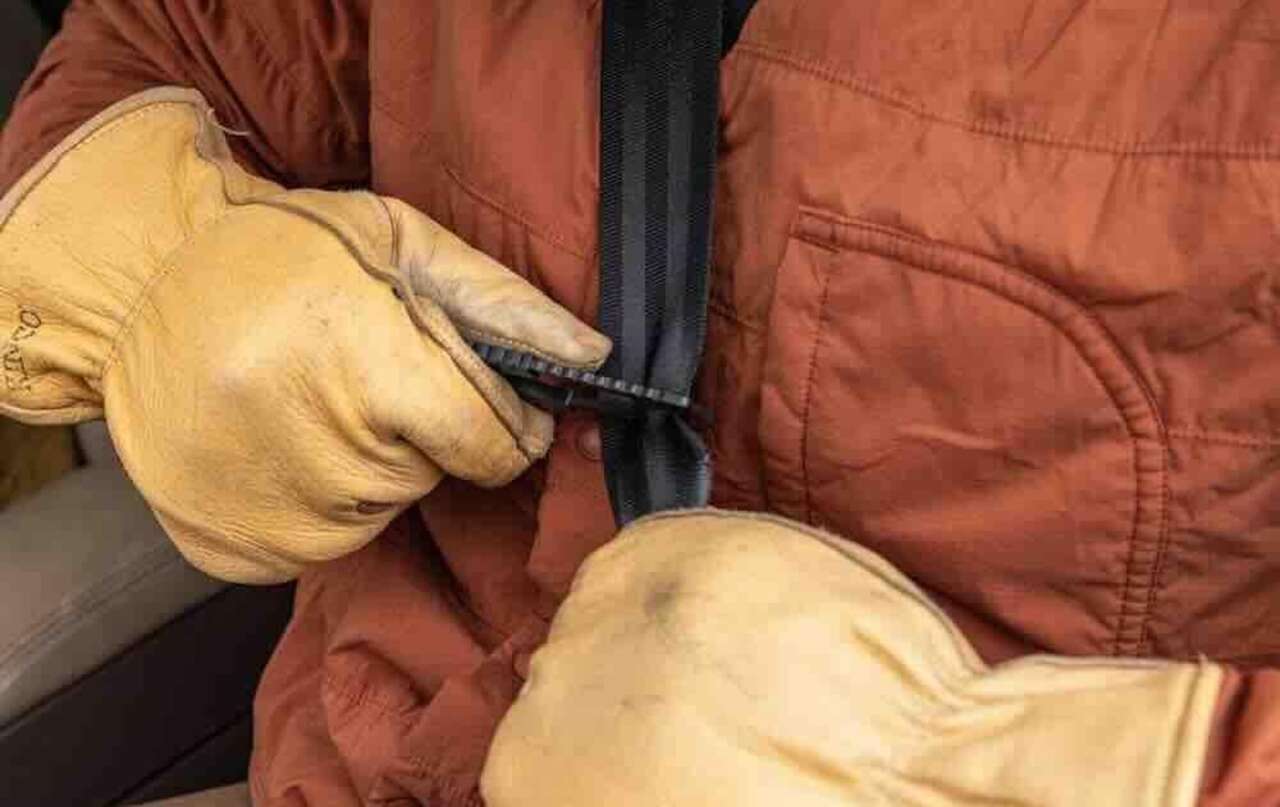 Gerber Seatbelt Strap Cutter with Glass Breaker 5