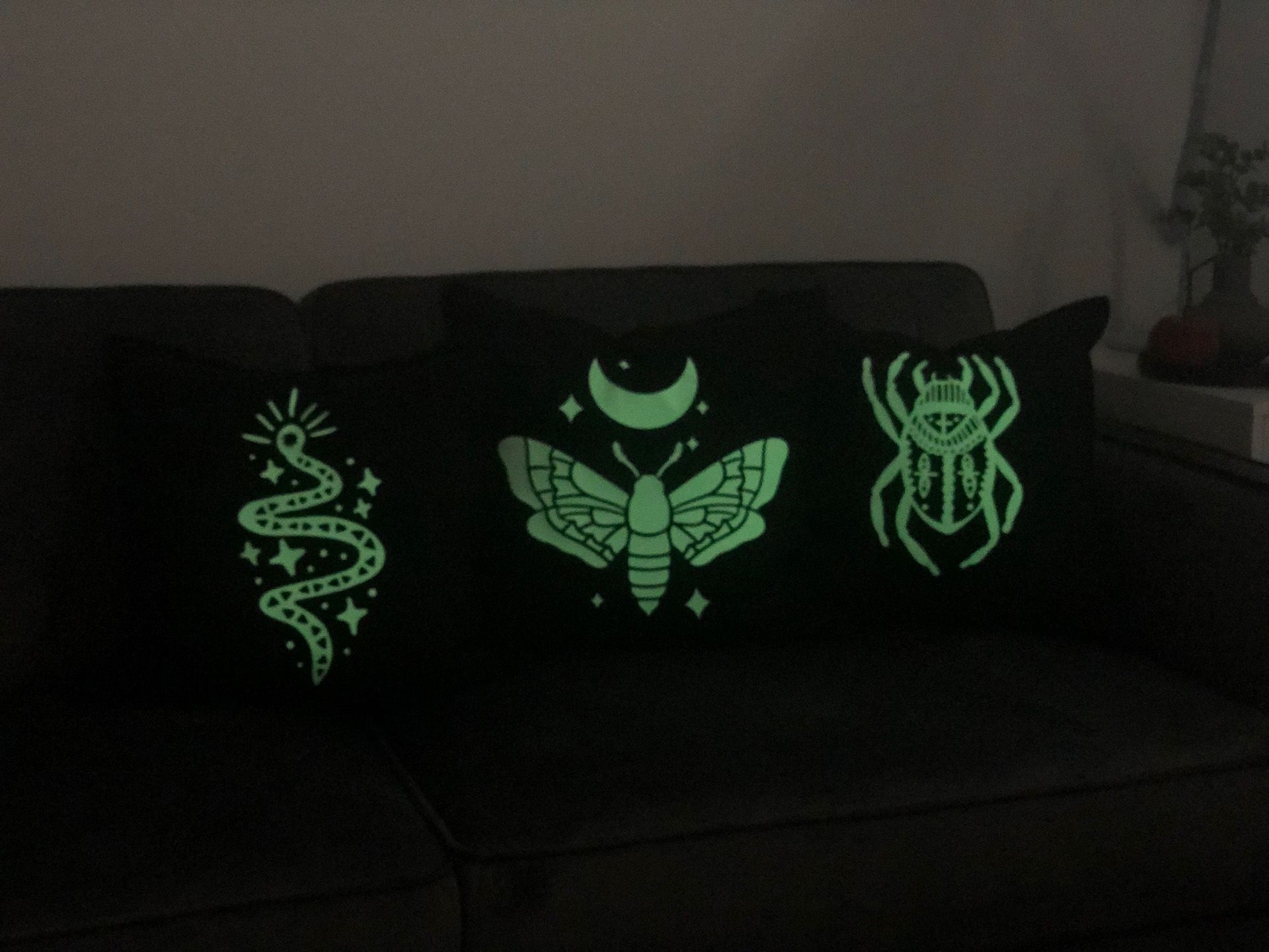 Three black cushions with glowing snake, moth and beetle designs on a couch