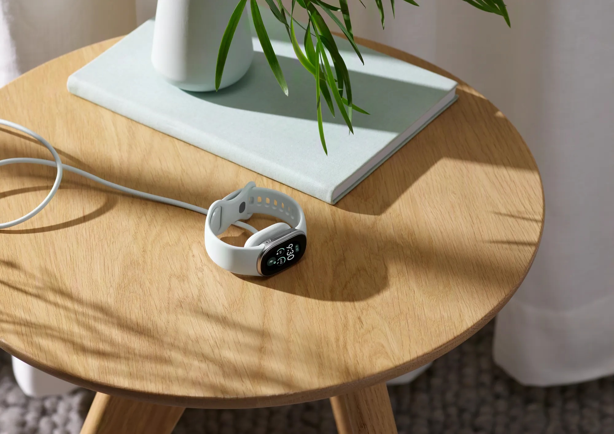 Google Fitbit Edge 2 1