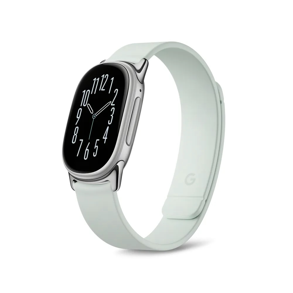 Google Fitbit Edge 9
