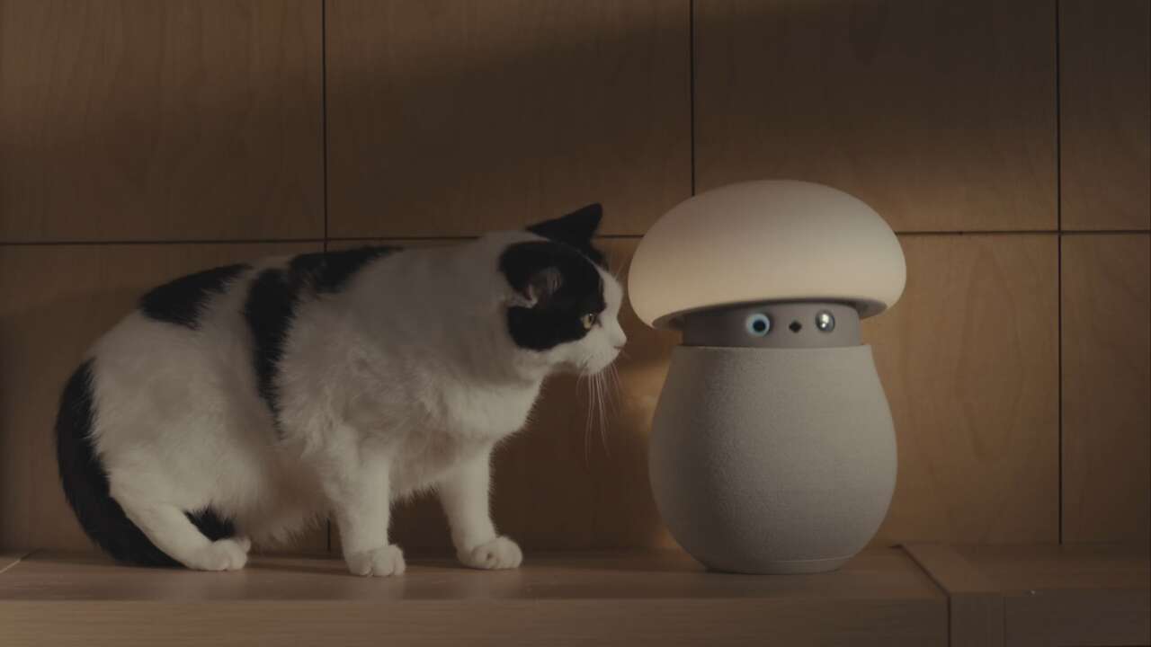 Mori Robot 8