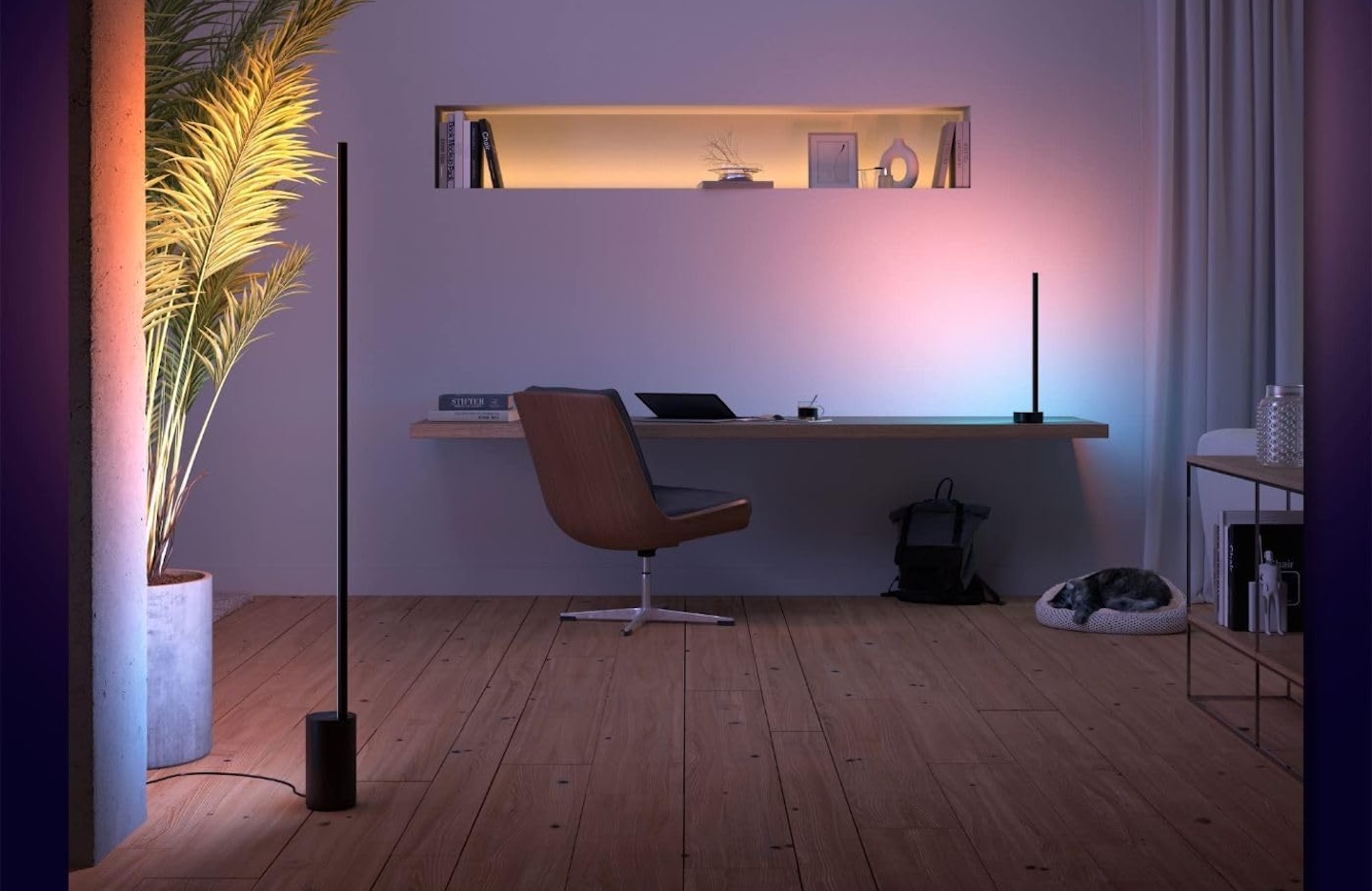 Philips Hue Signe Smart Color Changing Floor Lamp 1 Pack Black