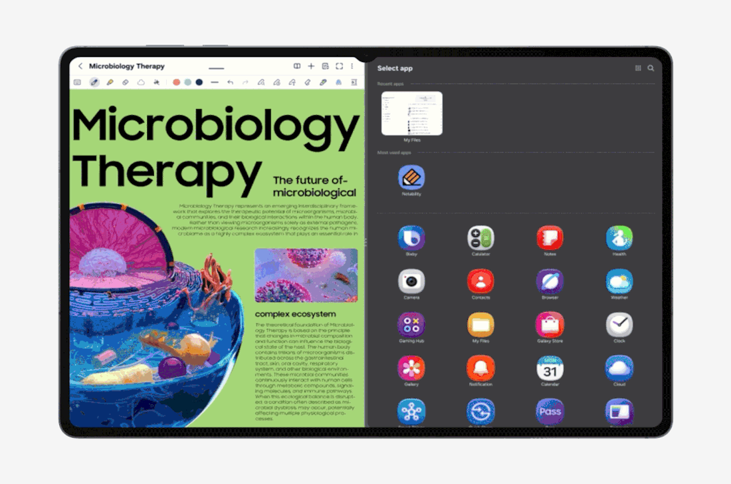 Samsung Galaxy Tab S12