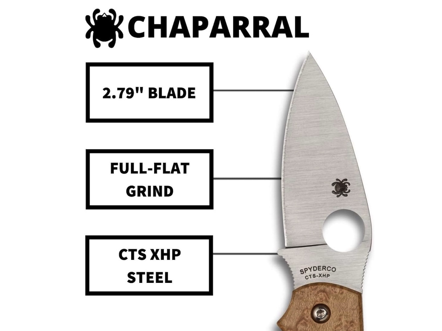 Spyderco Chaparral Folding Pocket Knife