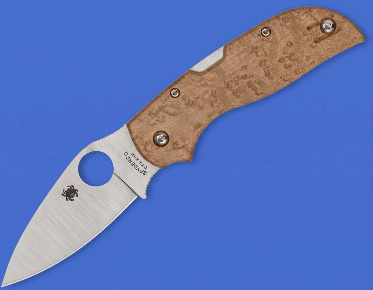Spyderco Chaparral Folding Pocket Knife