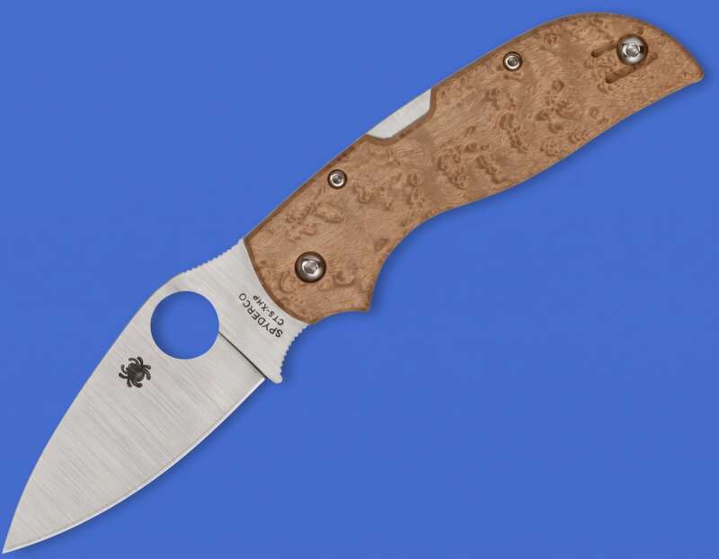 Spyderco Chaparral Folding Pocket Knife